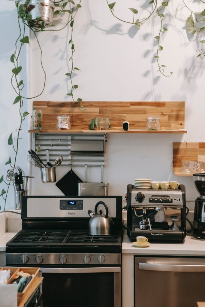 A kitchen with a stove, oven, and a plant on the wall.
