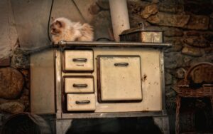 a cat sits on top of an old stove.