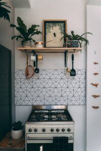 a kitchen with a stove and potted plants.