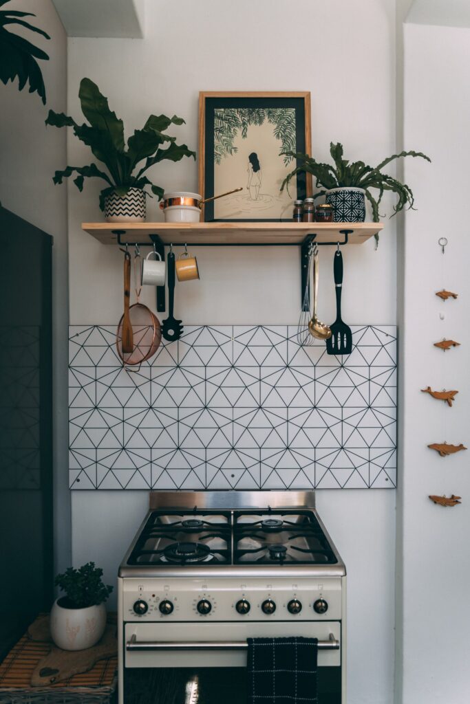 Kitchen stove with plants and art