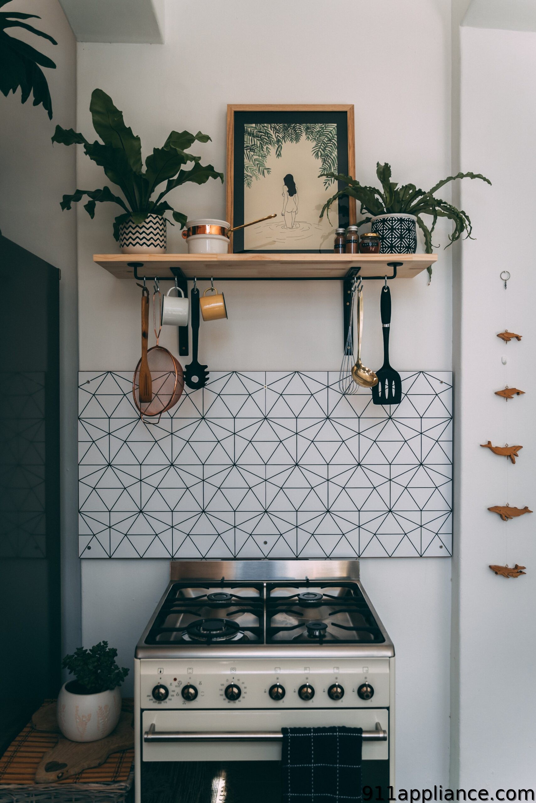 Kitchen stove with plants and art