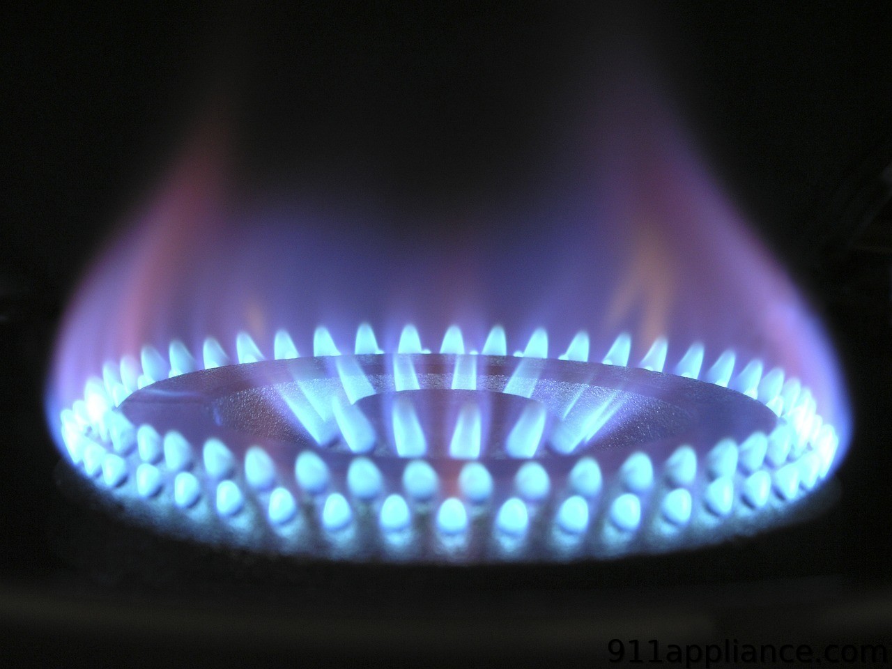 Blue gas stove flame