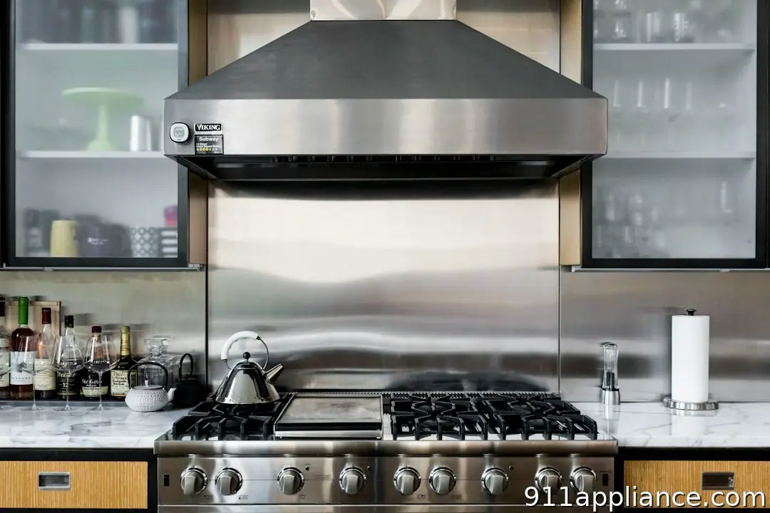 Modern kitchen range and hood