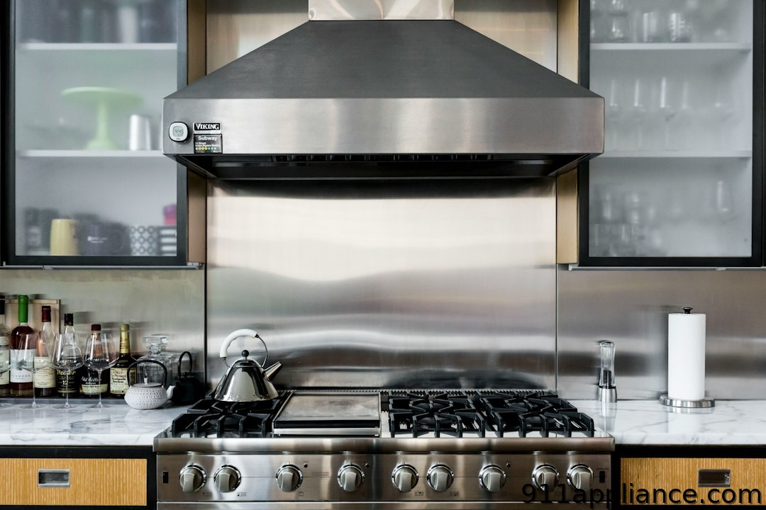 Modern kitchen range and hood