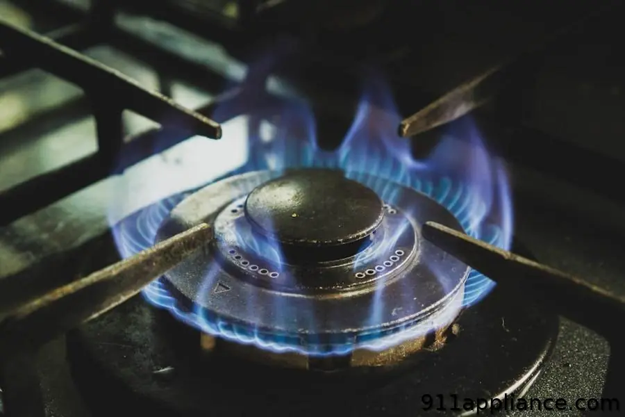Gas stove burner with flame